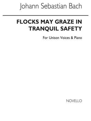 Flocks May Graze In Tranquil Safety