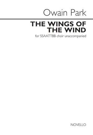 The Wings Of The Wind