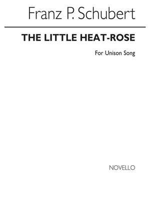 The Little Heath Rose