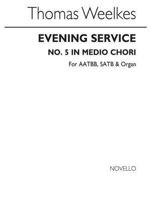 T Evening Ser No 5 In Medio Chori