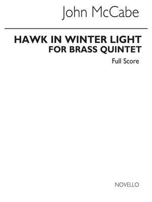 Hawk In Winter Light