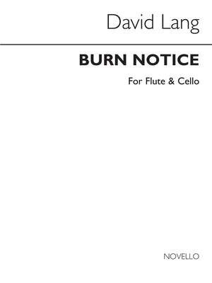 Burn Notice (Flute / flauta & Cello / violonchelo Parts)