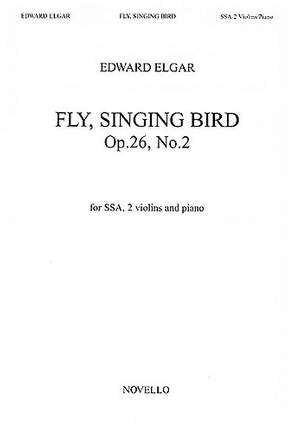 Fly singing bird