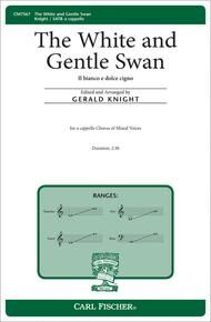 The White and Gentle Swan