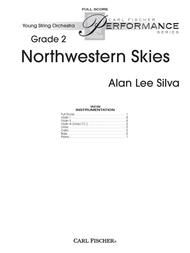 Northwestern Skies