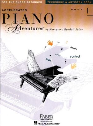 Piano Adventures for the Older Beginner Tech Bk 1