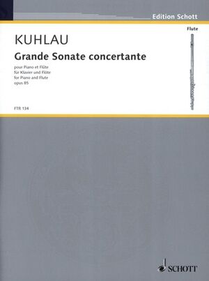 Grande Sonate concertante op. 85