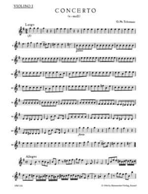 Concerto For Recorder And Flute (concierto flauta / flauta dulce) In E Minor
