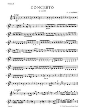 Concerto For Recorder And Flute (concierto flauta / flauta dulce) In E Minor