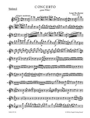 Konzert fur Flote und Streicher (Concierto flauta cuerdas)