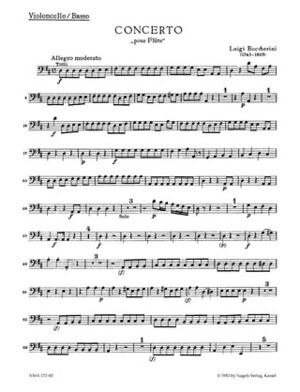 Konzert fur Flote und Streicher (concierto flauta cuerdas)
