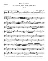 Cantata No.134