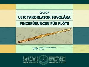 Fingerbungen fr Flöte (flauta)