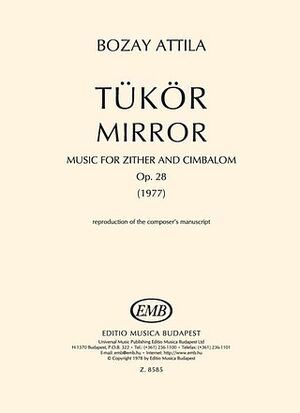 Mirror Mixed Ensemble