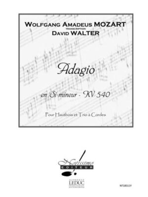 Adagio En Si Mineur Kv 540